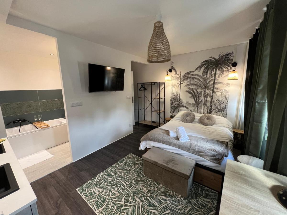L'Ancillon Metz Gare Wifi Un-Sejour-A-Part Apartman Kültér fotó